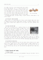 세계자동차산업 분석 10페이지