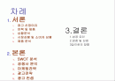 LG텔레콤 광고 분석 (경영전략 마케팅전략 이동통신 광고전략 2페이지