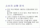 LG텔레콤 광고 분석 (경영전략 마케팅전략 이동통신 광고전략 11페이지