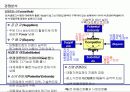 삼성전자 김치냉장고 마케팅전략 11페이지