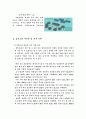 밀리오레 마케팅전략, 마케팅 전략분석(기업전략) 6페이지