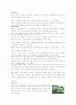 21세기 디자인의 방향 7페이지