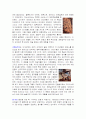 21세기 디자인이 나아가야할 방향(디자인의 미래) 9페이지
