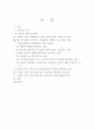 TV광고에서 보여지는 여성상에 대한 연구 2페이지