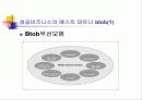 이동통신사 마케팅전략과 비교분석 75페이지