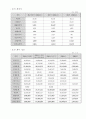 한빛소프트의 벤처성장과정,마케팅전략과 전망연구 6페이지