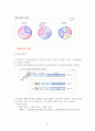 카이홀맨 광고분석 9페이지