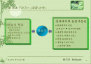 매실주 중국시장진출 전략 2페이지