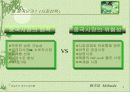 매실주 중국시장진출 전략 3페이지