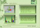 매실주 중국시장진출 전략 6페이지