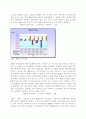 진로재팬 일본진출사례연구 12페이지