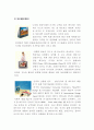 삼성전자 분석 19페이지