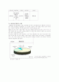 금호그룹(아시아나항공) 경영전략(항공산업 항공사 여행사 기업경영 기업분석 7페이지