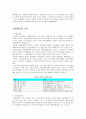 BMW 경영전략(자동차 마케팅전략 기업분석 기업경영 국제경영 국제마케팅 17페이지