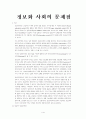 정보화사회의 문제점( 정보화 사회 정보사회) 2페이지