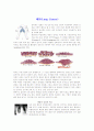 [보건] 암 (cancer) 5페이지