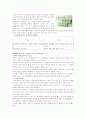 [성의 과학] 피임방법의 종류와 특징 6페이지