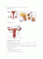 [성의 과학] 피임방법의 종류와 특징 8페이지