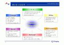 39쇼핑 인터넷 구축 사례 연구(CJ삼구쇼핑) 4페이지