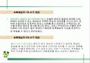  웅진식품 초록매실 기획서 ( 마케팅전략 광고전략 광고 홍보 음료수 15페이지