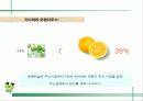  웅진식품 초록매실 기획서 ( 마케팅전략 광고전략 광고 홍보 음료수 47페이지