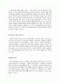 중국 신의주 경제 특구 (경제특구 북한경제 3페이지
