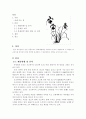 오리온 초코파이 마케팅전략 방안(마케팅 기업경영 경영전략 국제경영 국제마케팅 1페이지