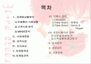 TTL 사례분석(ppt 발표자료임니다) 2페이지
