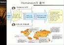 중소기업의 자사브랜드: 로만손을 중심으로 - 마케팅전략 해외시장개척 4페이지