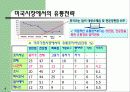 국제마케팅 사례연구-LG전자의 중국과 미국시장에서의 마케팅전략의 차이 비 8페이지