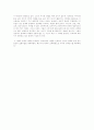 스푸트니크의 연인 2페이지