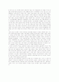 클린턴 행정부의 경제정책 7페이지