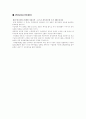 다각화사례 11페이지