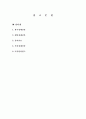 다각화사례 13페이지