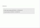 Visual Basic 강의자료(13) 18페이지