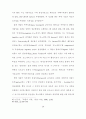 기독교와 이슬람의 신관 비교 연구 28페이지