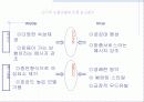 마케팅 커뮤니케이션 11페이지