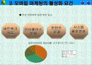 모바일마케팅 10페이지