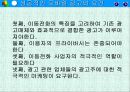 모바일마케팅 35페이지