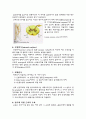 운동생리 6페이지