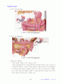 위암(stomach cancer) - 각종 그림 포함 - 9페이지