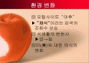 헬스카페테리아 사업계획서(파워포인트) 8페이지