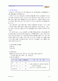  아이스크림 나뚜루 마케팅에 대해 13페이지