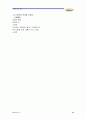  아이스크림 나뚜루 마케팅에 대해 16페이지