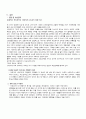 하겐다즈 아이스트림 전략(마케팅전략 경영전략 기업분석 마케팅 나뚜루 24페이지