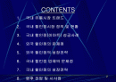 국내 할인점 시장 현황과 성장전략(유통업 유통관리 유통 월마트 이마트 2페이지