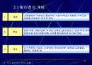 국내 할인점 시장 현황과 성장전략(유통업 유통관리 유통 월마트 이마트 4페이지