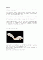 영재교육 관련 자료 22페이지