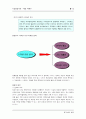 애경산업(주) 경영전략 12페이지