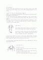 발반사요법 14페이지